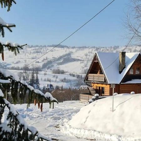 Domek Tatrapart Zakopane Dış mekan fotoğraf
